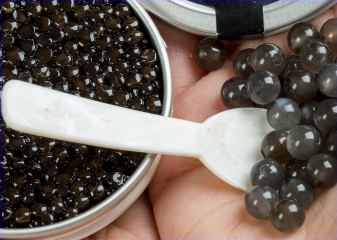 2021.10.01 esturgeonnière caviar 1